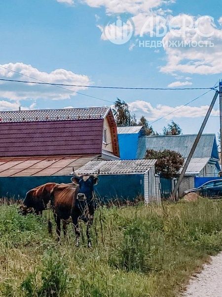 Участок , 8 сот., Полевая ул.,