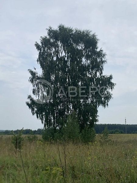 Участок , 16 сот.