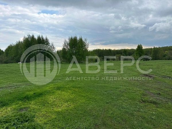 Участок , 8 сот., Россия, Владимирская область, Муромский район, Александровка д., Мира ул.