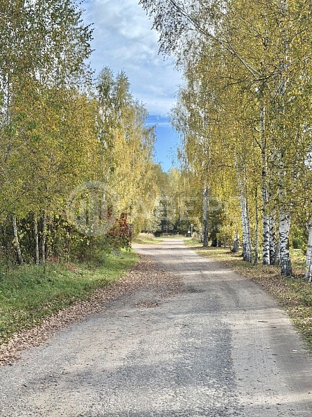 Дом, 31 кв.м.