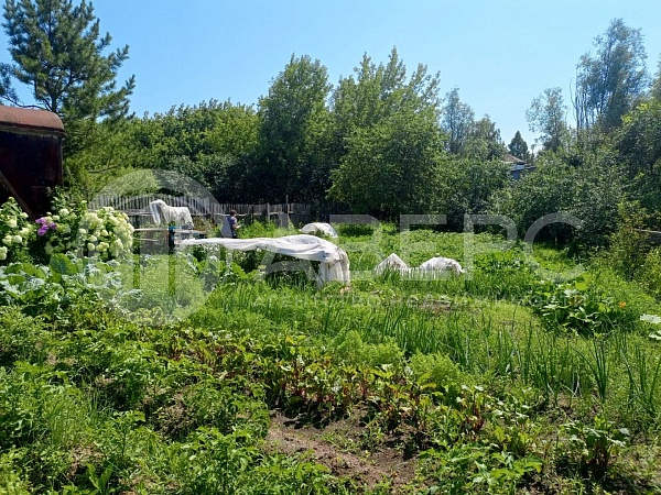 Участок , 9 сот.
